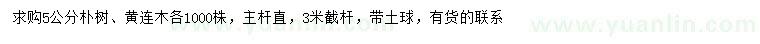 求购5公分朴树、黄连木