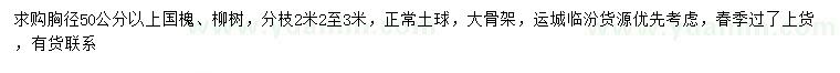 求购胸径50公分以上国槐、柳树