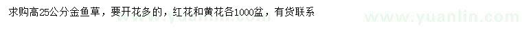 求购高25公分金鱼草