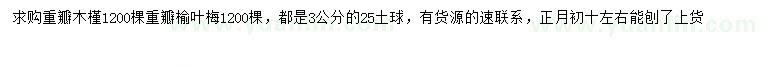 求购3公分重瓣木槿、重瓣榆叶梅