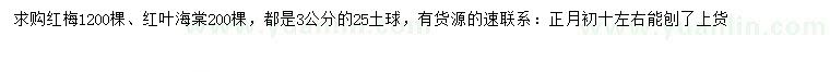 求购3公分红梅、红叶海棠