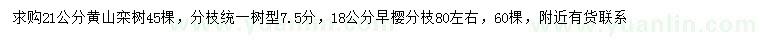 求购21公分黄山栾树、18公分早樱