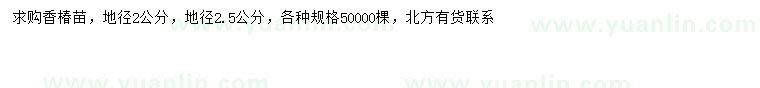 求购地径2、2.5公分香椿