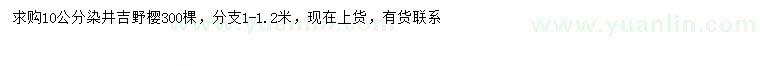 求购10公分染井吉野樱