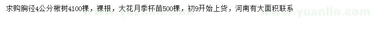 求购胸径4公分楸树、大花月季