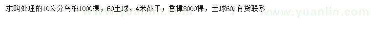 求购10公分乌桕、香樟