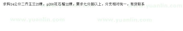 求购14公分二乔玉兰、冠幅200公分花石榴