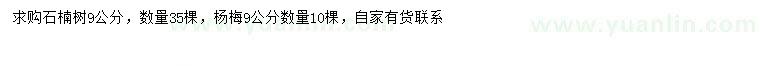 求购9公分石楠、杨梅