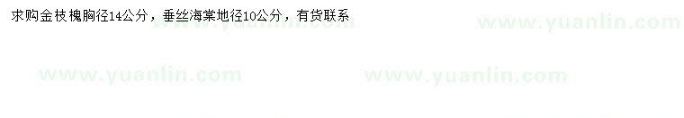 求购胸径14公分金枝槐、地径10公分垂丝海棠