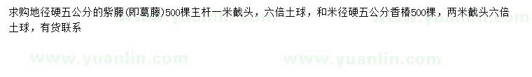 求购地径5公分紫藤、米径5公分香樟