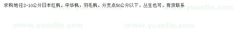 求购日本红枫、中华枫、羽毛枫