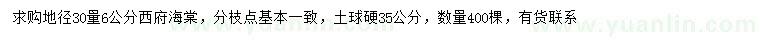 求购30量6公分西府海棠