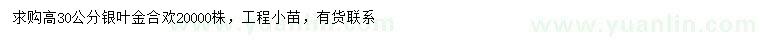 求购高30公分银叶金合欢