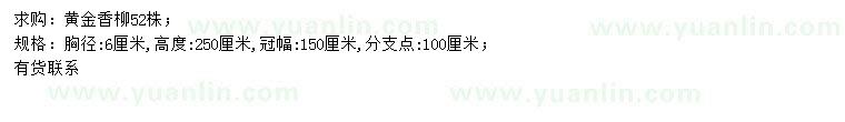 求购胸径6公分黄金香柳