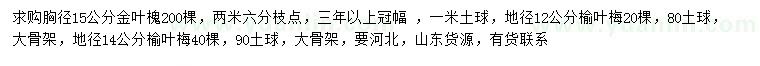 求购胸径15公分金叶槐、地径12、14公分榆叶梅