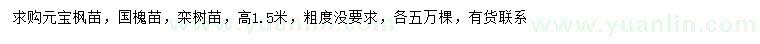 求购元宝枫、国槐、栾树