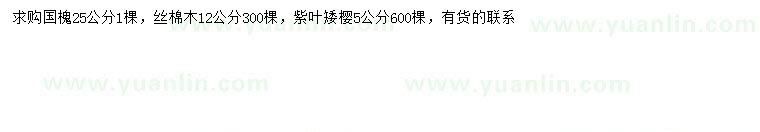 求购国槐、丝棉木、紫叶矮樱