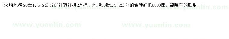 求购30量1.5-2公分红冠红枫、金陵红枫