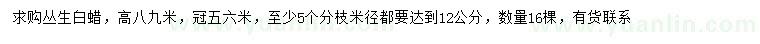 求购冠幅5、6米丛生白蜡