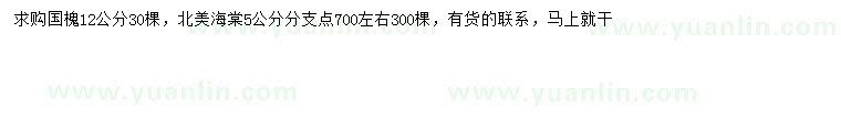 求购12公分国槐、5公分北美海棠
