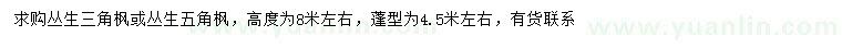 求购冠幅4.5米左右丛生三角枫、丛生五角枫