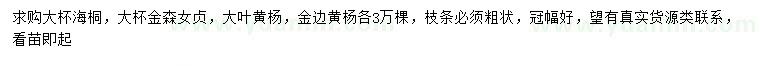 求购海桐、金森女贞、大叶黄杨等