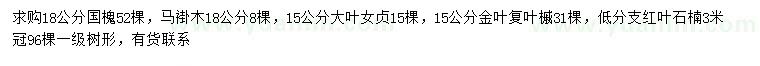 求购国槐、马褂木、大叶女贞等