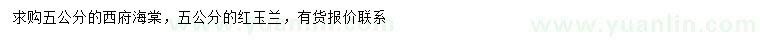 求购5公分西府海棠、红玉兰