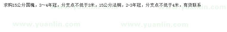 求购15公分国槐、法桐