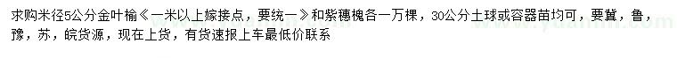 求购米径5公分金叶榆、紫穗槐