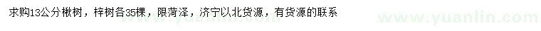 求购13公分楸树、梓树