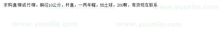 求购胸径10公分直柳、竹柳