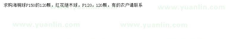 求购冠幅150公分海桐球、冠幅120公分红花继木球