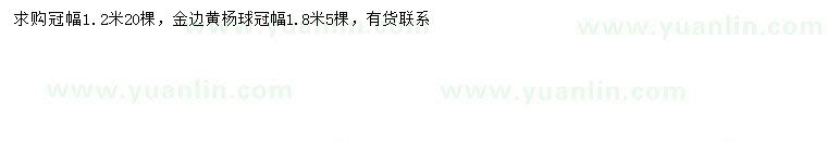 求购冠幅1.2、1.8米金边黄杨球