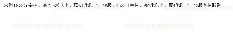 求购15、18公分栾树