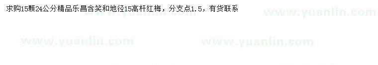 求购24公分乐昌含笑、地径15公分高杆红梅