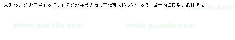 求购12公分紫玉兰、10-12公分美人梅