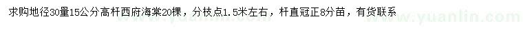 求购30量15公分高杆西府海棠