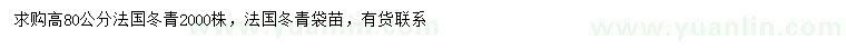 求购高80公分法国冬青