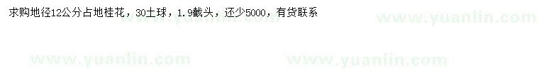 求购地径12公分桂花