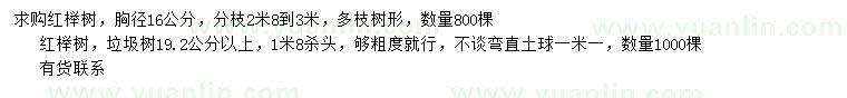 求购胸径16、19.2公分以上红榉树