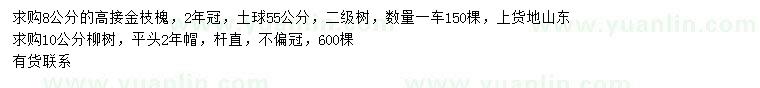 求购8公分高接金枝槐、10公分柳树