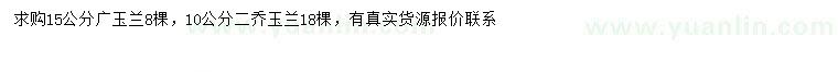 求购15公分广玉兰、10公分二乔玉兰