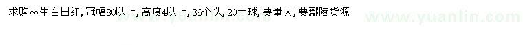 求购冠幅80公分以上丛生百日红