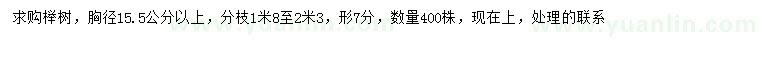 求购胸径15.5公分以上榉树