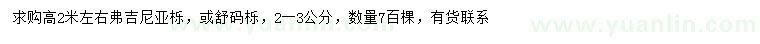 求购2-3公分弗吉尼亚栎、舒码栎