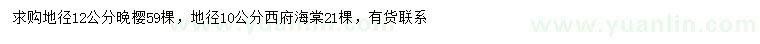 求购地径12公分晚樱、地径10公分西府海棠