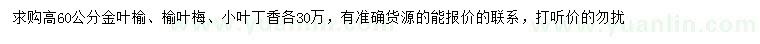 求购金叶榆、榆叶梅、小叶丁香