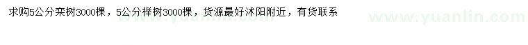 求购5公分栾树、榉树