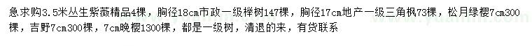 求购丛生紫薇、榉树、晚樱等